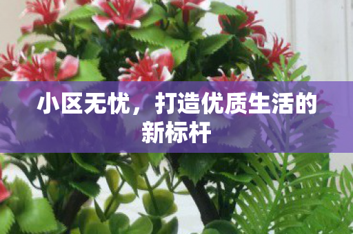 小区无忧，打造优质生活的新标杆