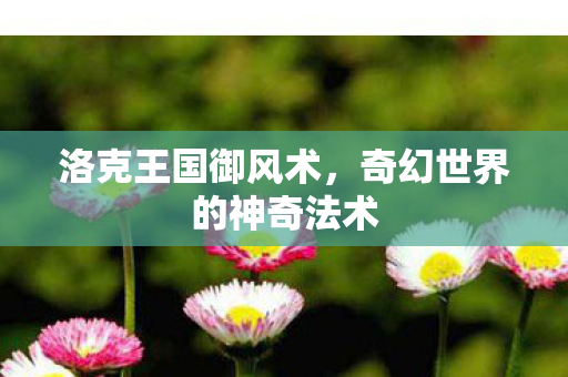 洛克王国御风术,奇幻世界的神奇法术 洛克王国御风术,奇幻世界的神奇法术
