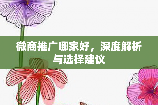 微商推广哪家好，深度解析与选择建议