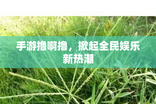 手游撸啊撸，掀起全民娱乐新热潮