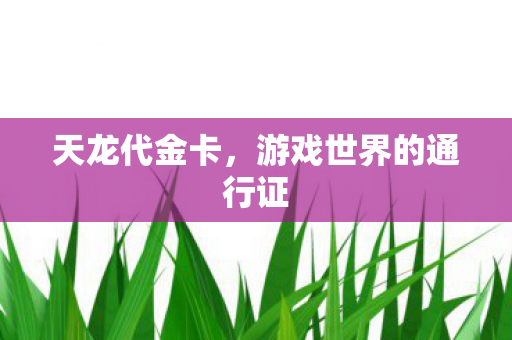 天龙代金卡，游戏世界的通行证