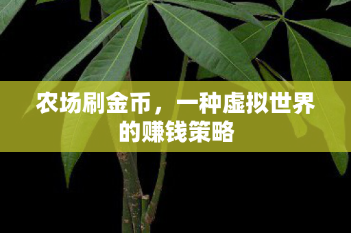 农场刷金币,一种虚拟世界的赚钱策略 农场刷金币,一种虚拟世界的赚钱策略
