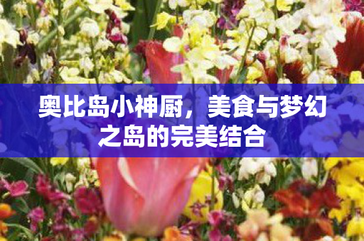 奥比岛小神厨，美食与梦幻之岛的完美结合