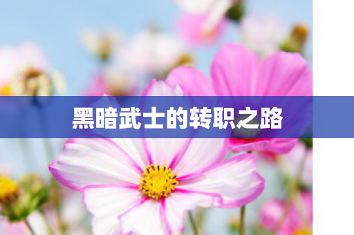 黑暗武士的转职之路 黑暗武士的转职之路