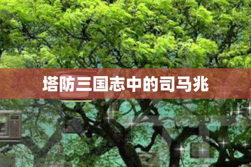 塔防三国志中的司马兆