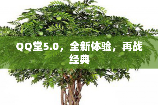 QQ堂5.0,全新体验,再战经典 QQ堂5.0,全新体验,再战经典