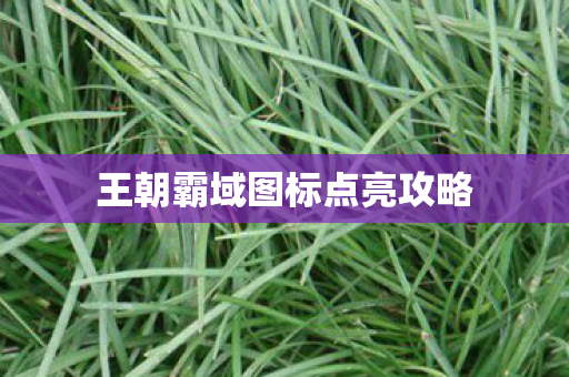 王朝霸域图标点亮攻略 王朝霸域图标点亮攻略
