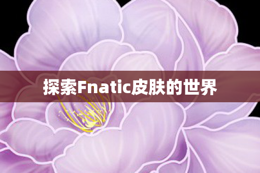 探索Fnatic皮肤的世界 探索Fnatic皮肤的世界