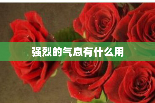 强烈的气息有什么用 强烈的气息有什么用