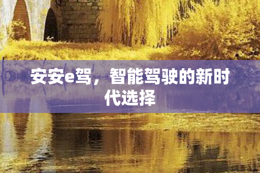 安安e驾,智能驾驶的新时代选择 安安e驾,智能驾驶的新时代选择