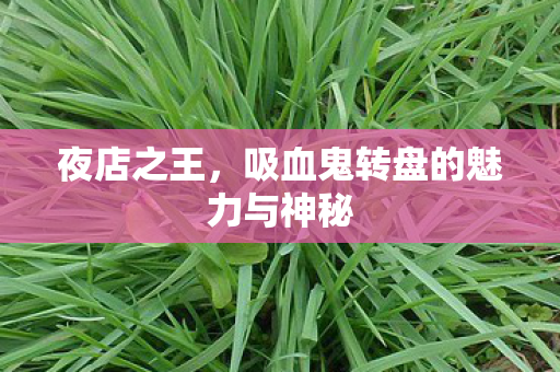 夜店之王，吸血鬼转盘的魅力与神秘