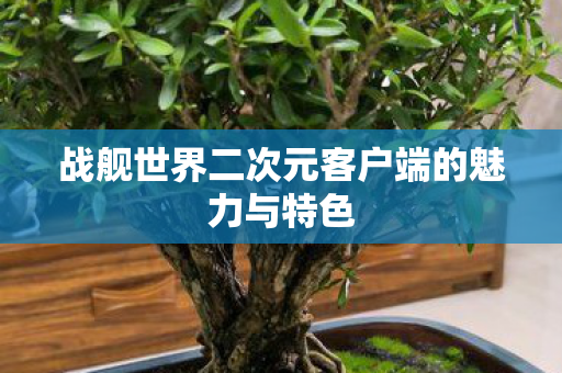 战舰世界二次元客户端的魅力与特色 战舰世界二次元客户端的魅力与特色