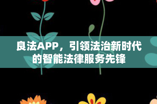 良法APP,引领法治新时代的智能法律服务先锋 良法APP,引领法治新时代的智能法律服务先锋