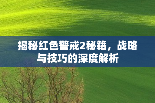 揭秘红色警戒2秘籍,战略与技巧的深度解析 揭秘红色警戒2秘籍,战略与技巧的深度解析
