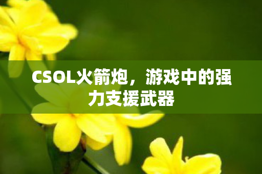 CSOL火箭炮,游戏中的强力支援武器 CSOL火箭炮,游戏中的强力支援武器