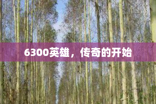 6300英雄,传奇的开始 6300英雄,传奇的开始