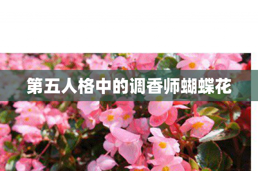 第五人格中的调香师蝴蝶花