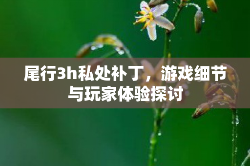 尾行3h私处补丁,游戏细节与玩家体验探讨 尾行3h私处补丁,游戏细节与玩家体验探讨