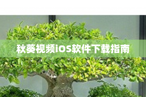 秋葵视频iOS软件下载指南 秋葵视频iOS软件下载指南