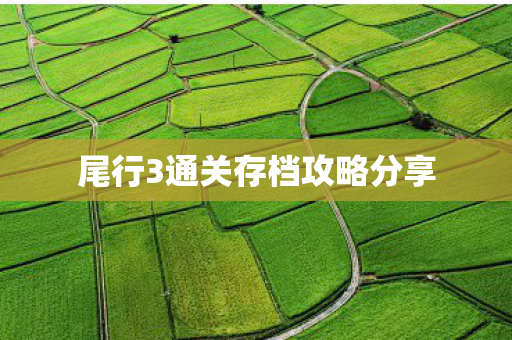 尾行3通关存档攻略分享 尾行3通关存档攻略分享