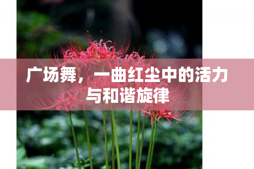 广场舞,一曲红尘中的活力与和谐旋律 广场舞,一曲红尘中的活力与和谐旋律