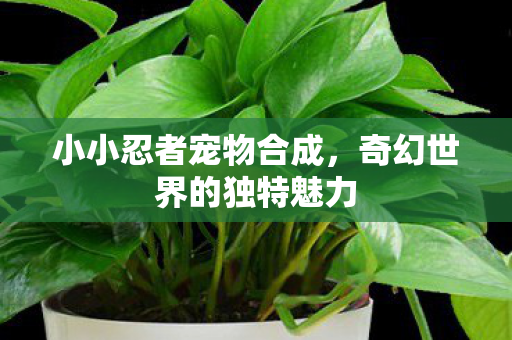 小小忍者宠物合成，奇幻世界的独特魅力