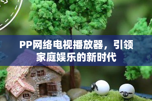 PP网络电视播放器，引领家庭娱乐的新时代