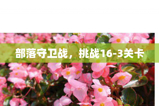 部落守卫战，挑战16-3关卡