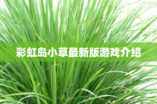 彩虹岛小草最新版游戏介绍 彩虹岛小草最新版游戏介绍