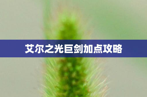 艾尔之光巨剑加点攻略 艾尔之光巨剑加点攻略