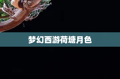 梦幻西游荷塘月色