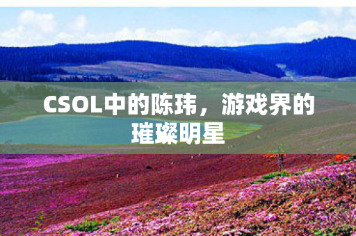 CSOL中的陈玮,游戏界的璀璨明星 CSOL中的陈玮,游戏界的璀璨明星