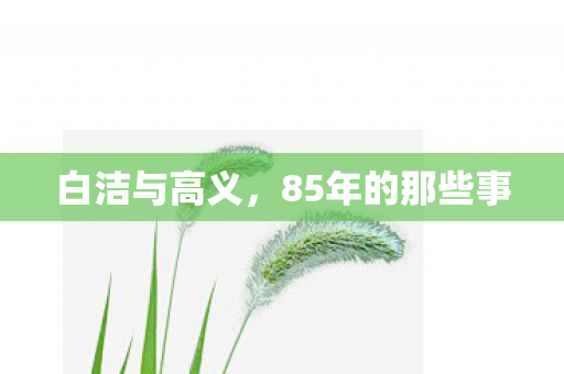 白洁与高义,85年的那些事 白洁与高义,85年的那些事