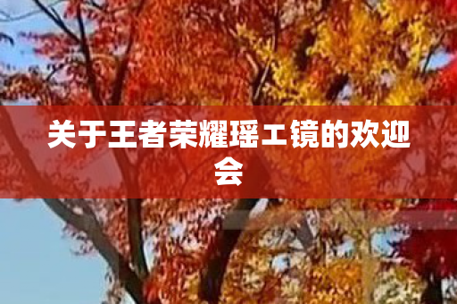 关于王者荣耀瑶エ镜的欢迎会 关于王者荣耀瑶エ镜的欢迎会