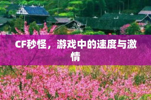 CF秒怪,游戏中的速度与激情 CF秒怪,游戏中的速度与激情