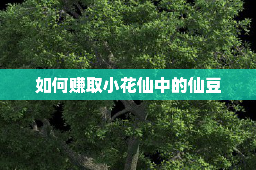 如何赚取小花仙中的仙豆 如何赚取小花仙中的仙豆
