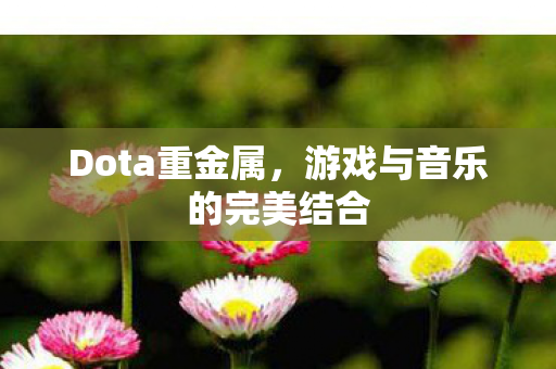 Dota重金属,游戏与音乐的完美结合 Dota重金属,游戏与音乐的完美结合