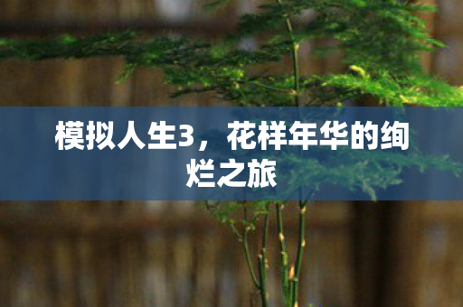 模拟人生3，花样年华的绚烂之旅