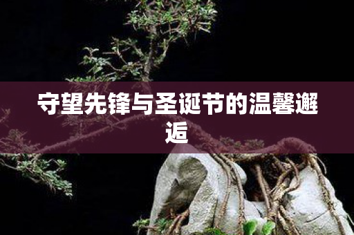守望先锋与圣诞节的温馨邂逅 守望先锋与圣诞节的温馨邂逅
