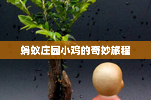 蚂蚁庄园小鸡的奇妙旅程 蚂蚁庄园小鸡的奇妙旅程