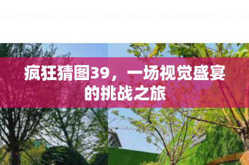 疯狂猜图39,一场视觉盛宴的挑战之旅 疯狂猜图39,一场视觉盛宴的挑战之旅
