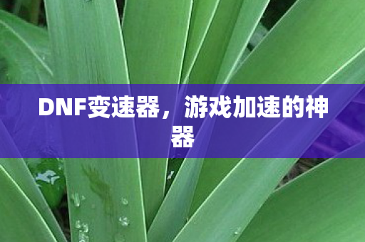 DNF变速器,游戏加速的神器 DNF变速器,游戏加速的神器