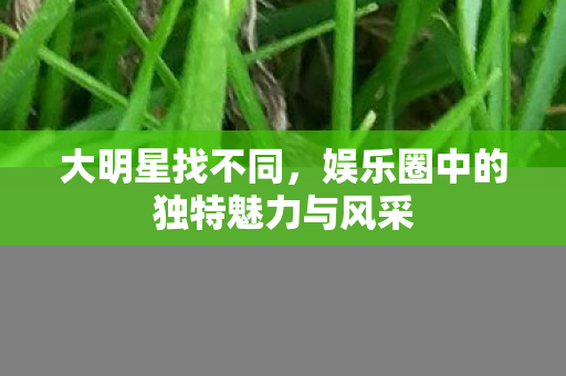 大明星找不同,娱乐圈中的独特魅力与风采 大明星找不同,娱乐圈中的独特魅力与风采