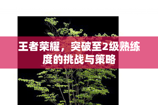 王者荣耀，突破至2级熟练度的挑战与策略