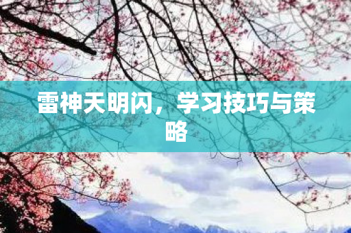 雷神天明闪，学习技巧与策略
