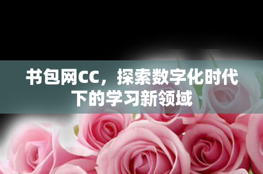 书包网CC,探索数字化时代下的学习新领域 书包网CC,探索数字化时代下的学习新领域