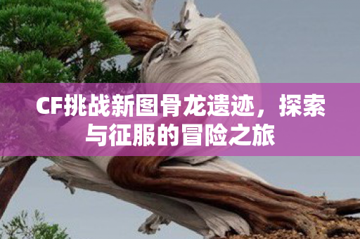 CF挑战新图骨龙遗迹,探索与征服的冒险之旅 CF挑战新图骨龙遗迹,探索与征服的冒险之旅