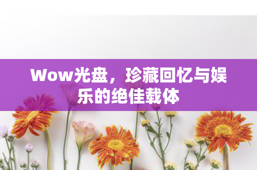 Wow光盘，珍藏回忆与娱乐的绝佳载体