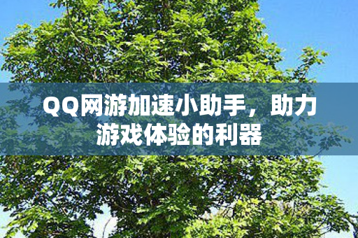 QQ网游加速小助手，助力游戏体验的利器
