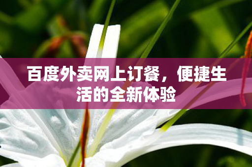 百度外卖网上订餐，便捷生活的全新体验